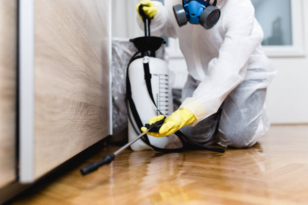 Best Affordable Pest Control Services  in Heron Bay, GA