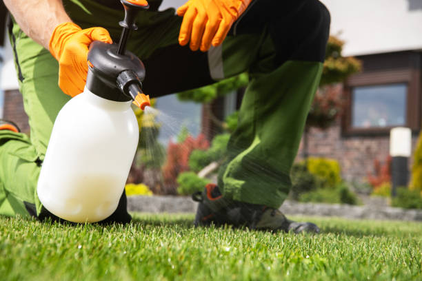 Best Pest Removal Services  in Heron Bay, GA