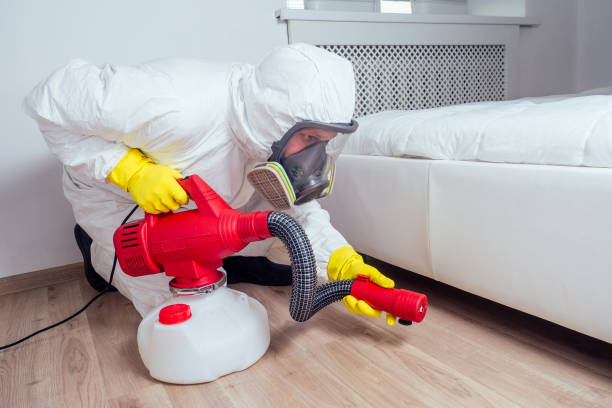 Best Flea Control Services  in Heron Bay, GA