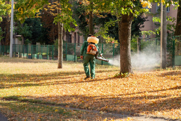 Best Local Pest Control Services  in Heron Bay, GA