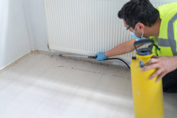 Best Termite Control Services  in Heron Bay, GA
